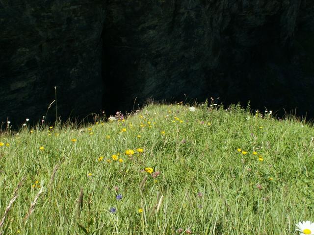 Blick runter im Tobel des Lavtinabaches