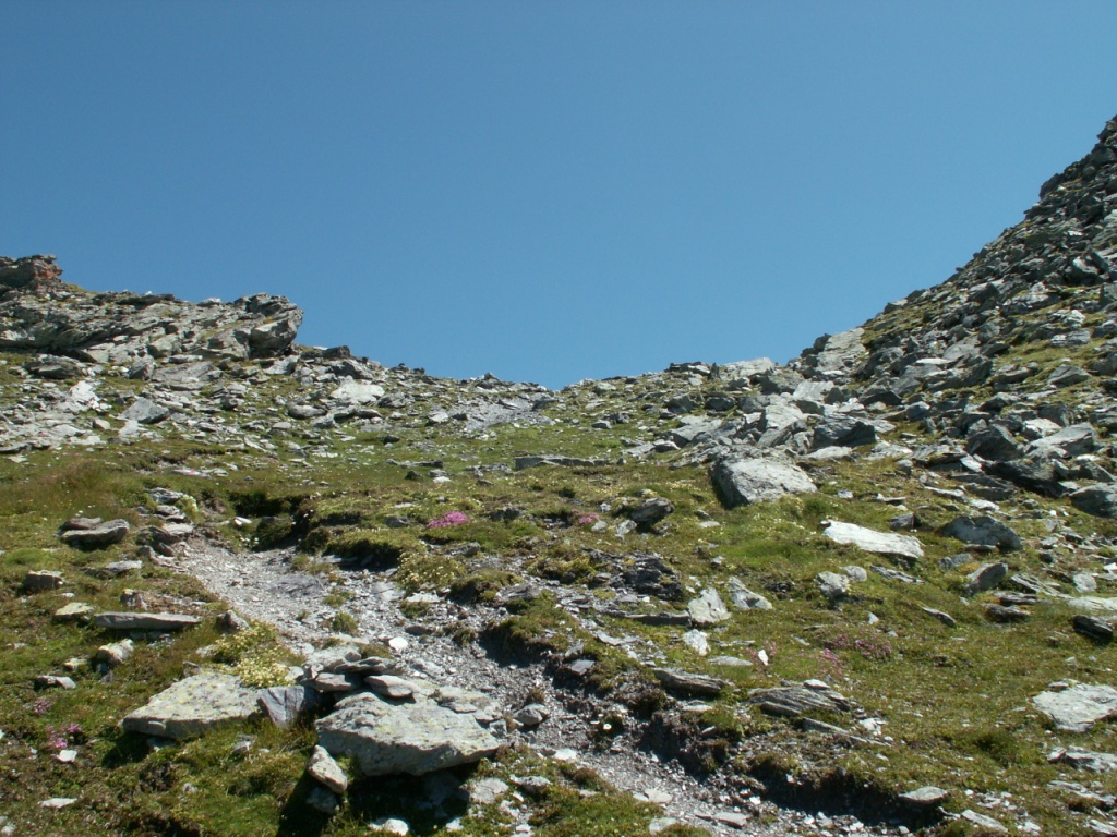 wir haben den Lavtinasattel 2587 m.ü.M. erreicht