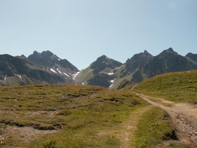 Wildseelugge und rechts die schwarzen Hörner