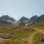 Wildseelugge und rechts die schwarzen Hörner