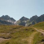 Wildseelugge und rechts die schwarzen Hörner
