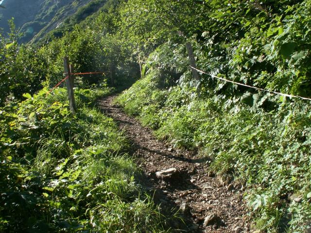 auf einem schönem Bergweg geht es aufwärts