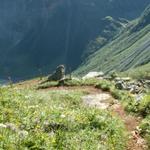 Bei Löcher 1927 m.ü.M. mit Blick runter nach Hinter Sand