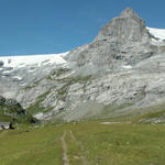 Breitbildfoto bei Ober Sand 1937 m.ü.M. mit Claridengletscher und Vorder Spitzalpelistock