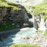 der Oberstafelbach hat sich bei Rossmättli eine kleine Schlucht gegraben