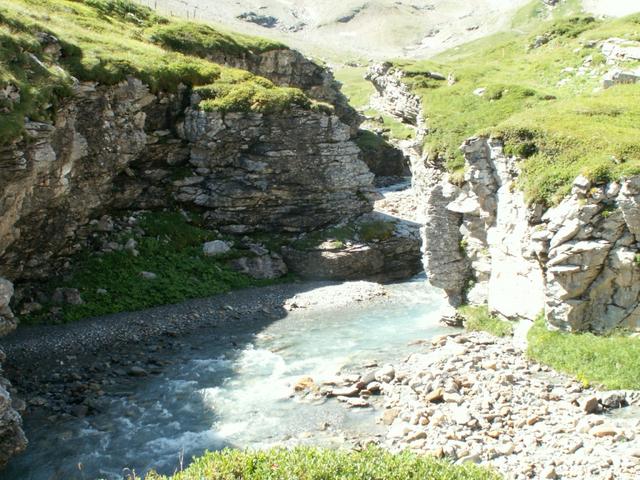 der Oberstafelbach hat sich bei Rossmättli eine kleine Schlucht gegraben