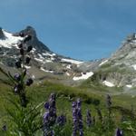 bei Sandpassweidli mit Blick zum kleinen Tödi und dem Sandgletscher