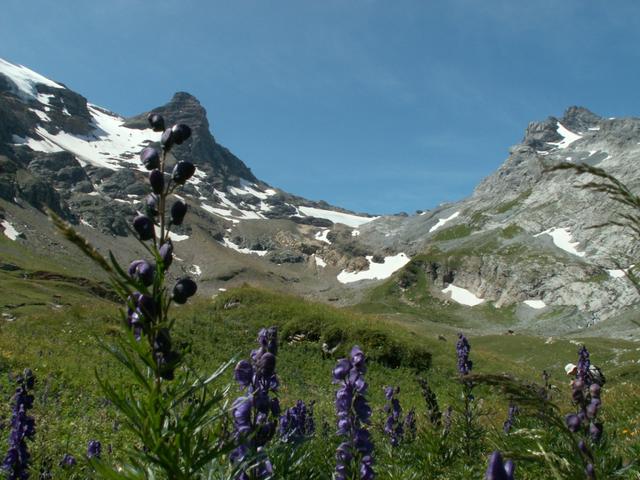 bei Sandpassweidli mit Blick zum kleinen Tödi und dem Sandgletscher