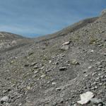 nach Sandpassweidli ändert sich die Landschaft plötzlich. Nur noch Geröll